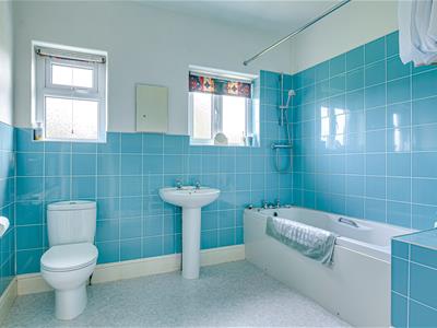 Picture 22